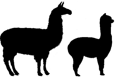 Alpaca-llama-silhouette