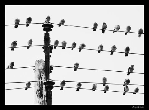 2045492386_9c2f9ea9a7