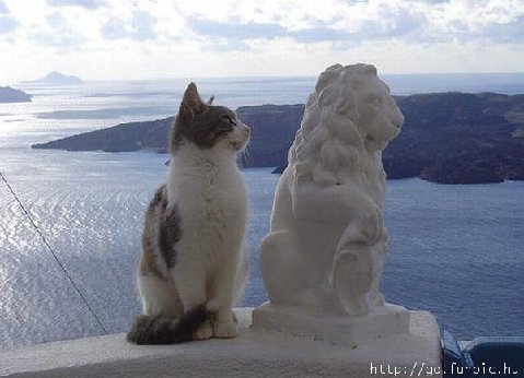 Cat20and20statue
