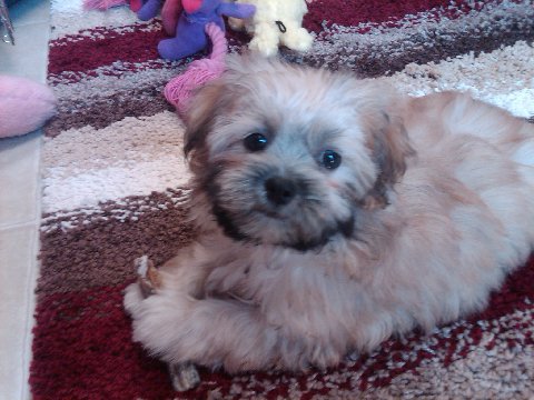 Img00062-20100907-1230