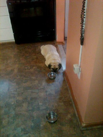 Waiting20for20dinner