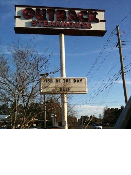 Fish20of20the20day20