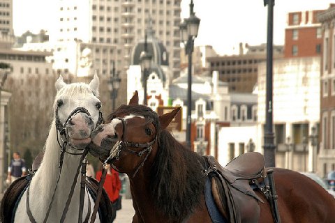 Enhanced-buzz-1399-1282746227-