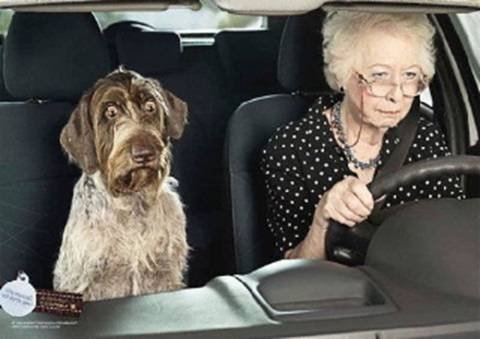 Dogandlady