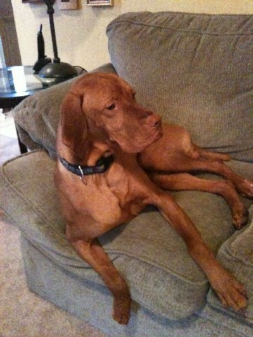 Iphonepicsdec2010281
