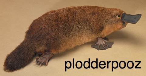 Enhanced-buzz-19816-1300904335