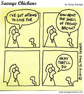 Savage-chickens-bacon