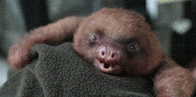 Tumblr_lojgr9b5rg1qzrlhgo1_r1_