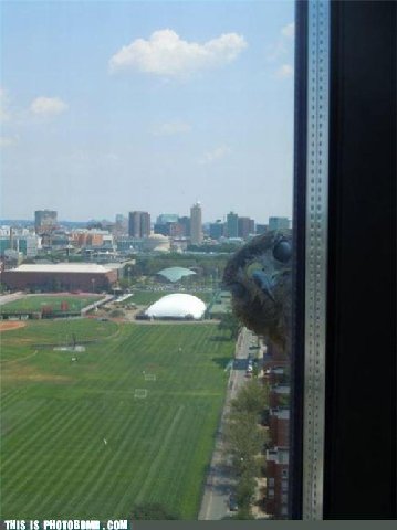 Photobomb-that-guy-hawkward