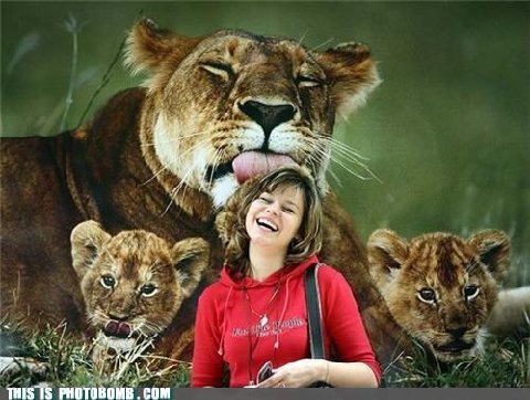 Photobomb-that-guy-licky-licky