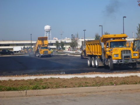 P1010554