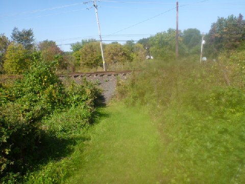 P1010556
