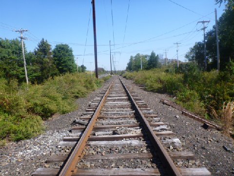 P1010557