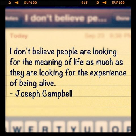 Tumblr_ls0czriit51qznniio1_500