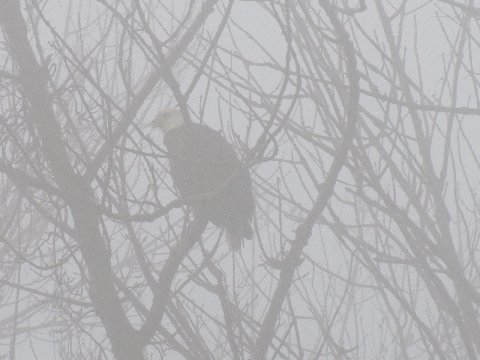 Img_5205a