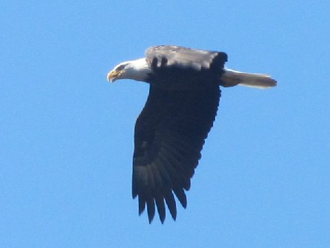 Img_5250
