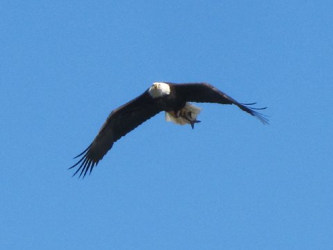 Img_5274