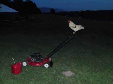 Tumblr_ln4745h8mz1qdouwxo1_500