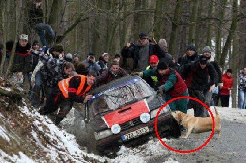 404891_239721702769735_1485772