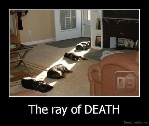 Tumblr_ltnq34src31qmdlvho1_500