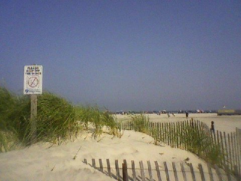 Sand-dune-beach-wildwoodcrestn