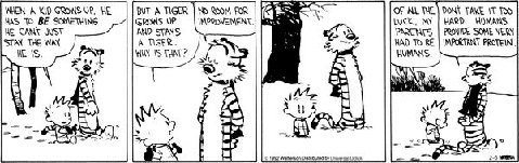 Tigers20have20no20room20for20i