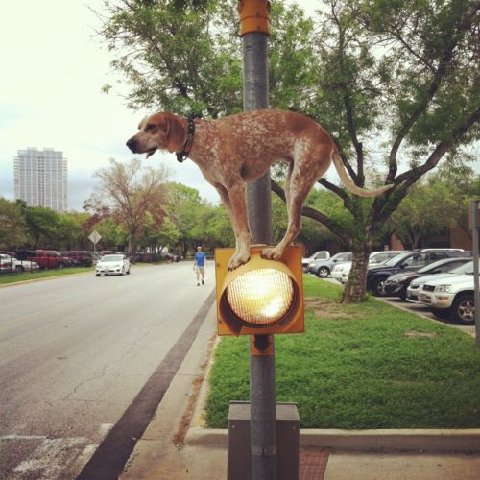 Tumblr_m0vvsquyz81r9164to1_500