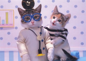 Cat_doctor