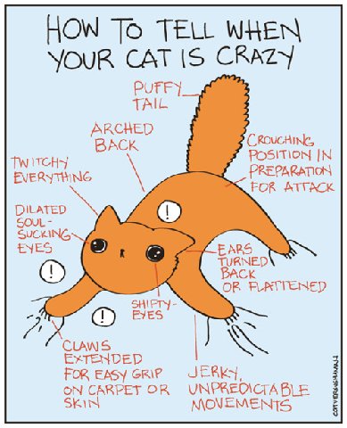 Tumblr_m29xd1498q1qcsvvro1_500