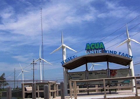 3861693769_14f710b0be