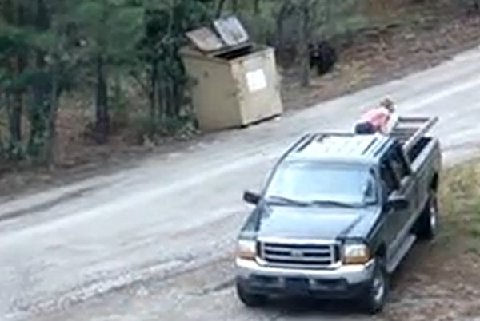 Ruidoso-bear-rescue-mission