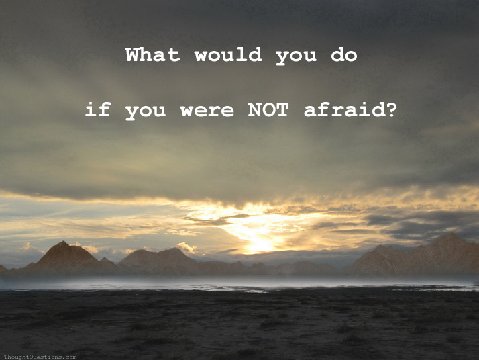 What20would20you20do20if20you2