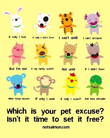 Pet20excuses