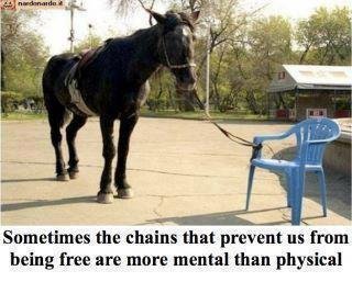 Some20chains20ar20more20mental