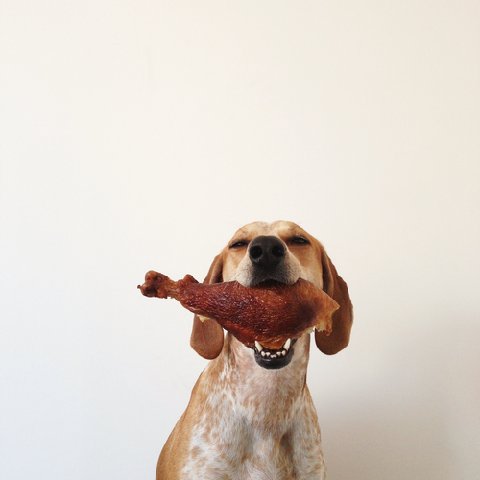 Tumblr_mdw7cnrgat1r9164to1_500