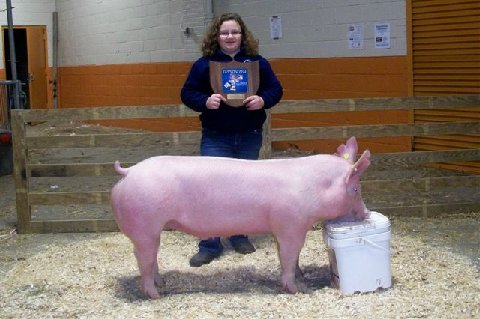 Leahwelkchyork2011pafarmshow2