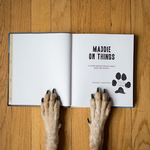 Tumblr_mil3jn4k3w1r9164to1_500